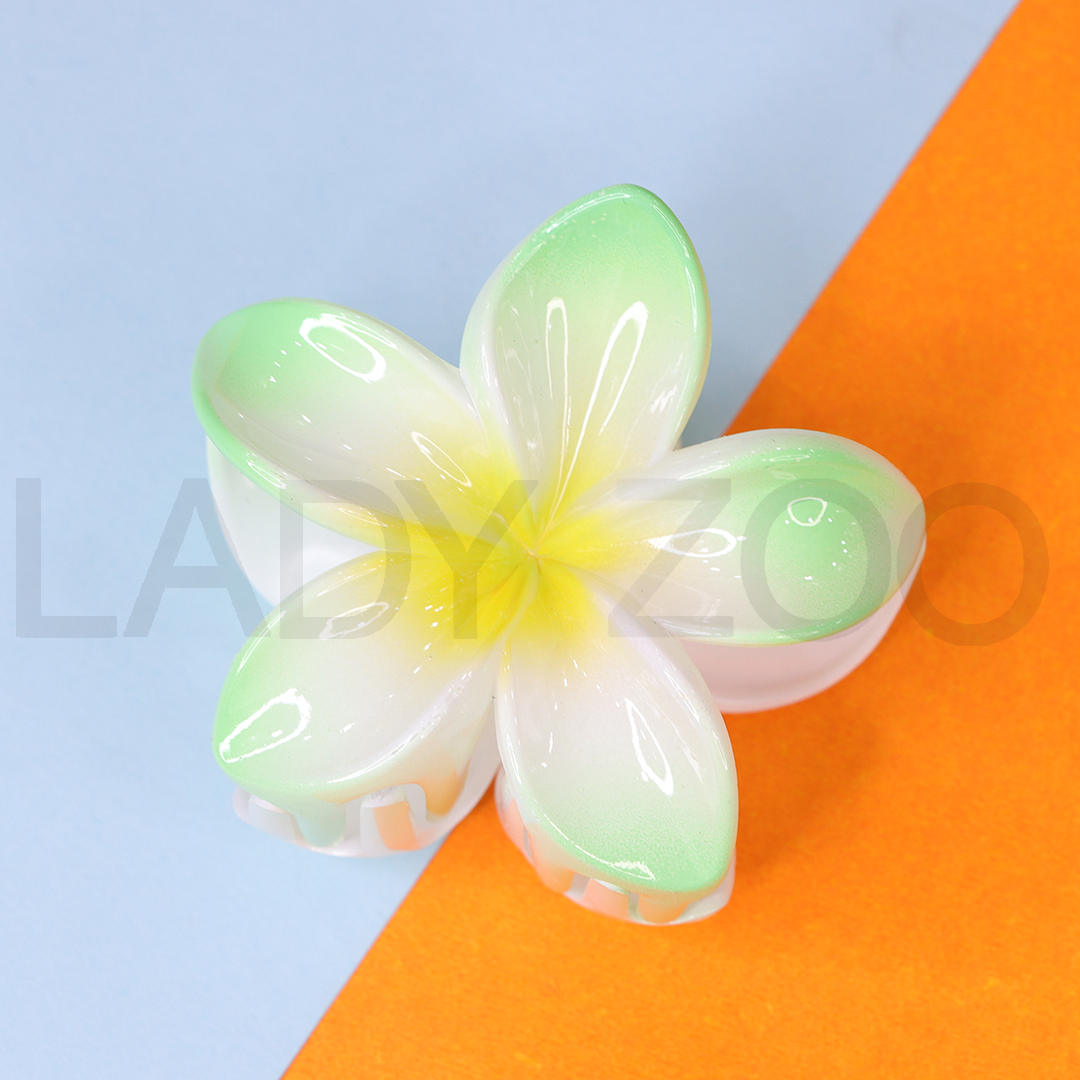 Flower Hair Clips Acrylic Beach Claw Barrettes Accessories for Women